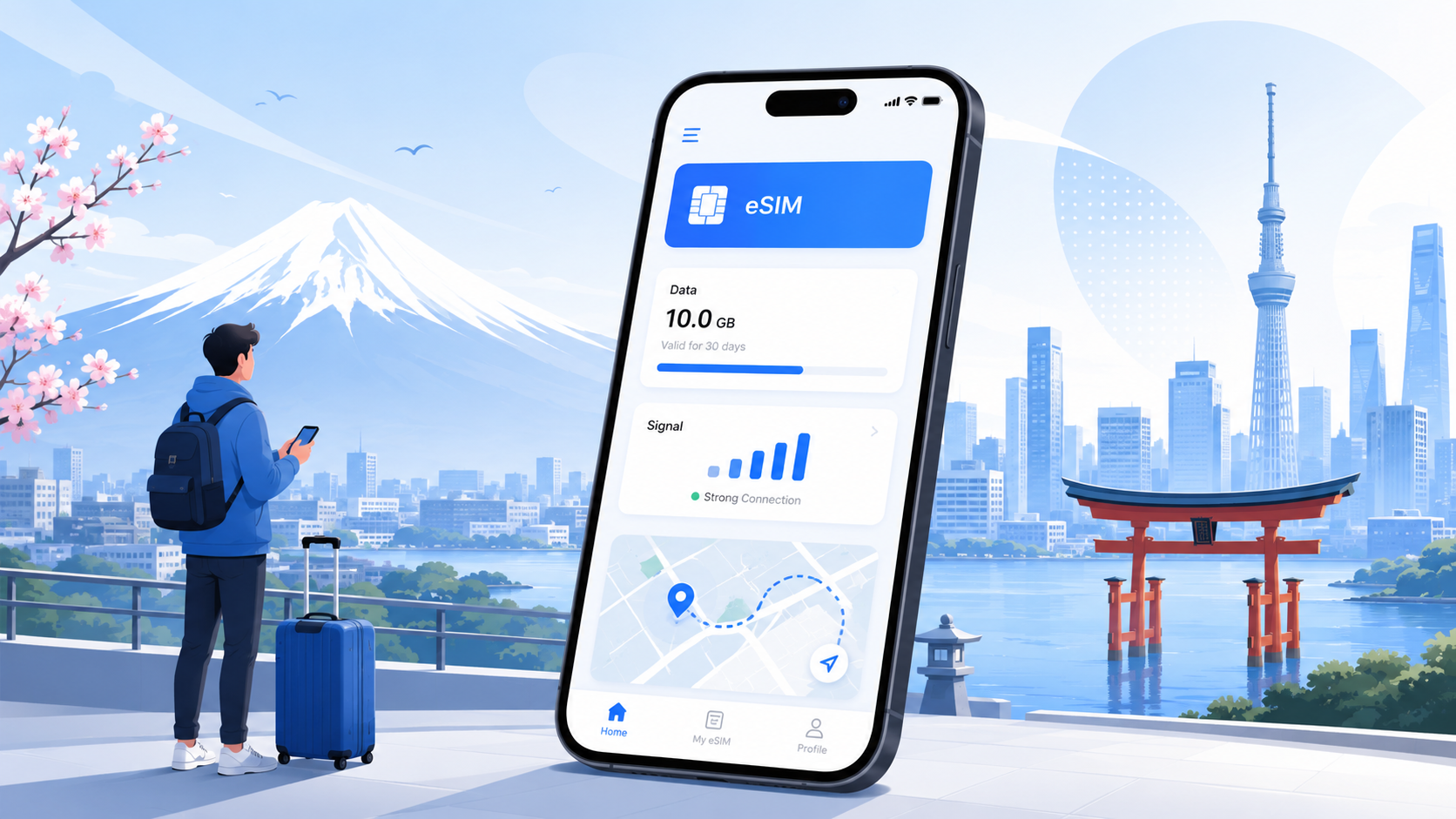 Japan eSIM Guide